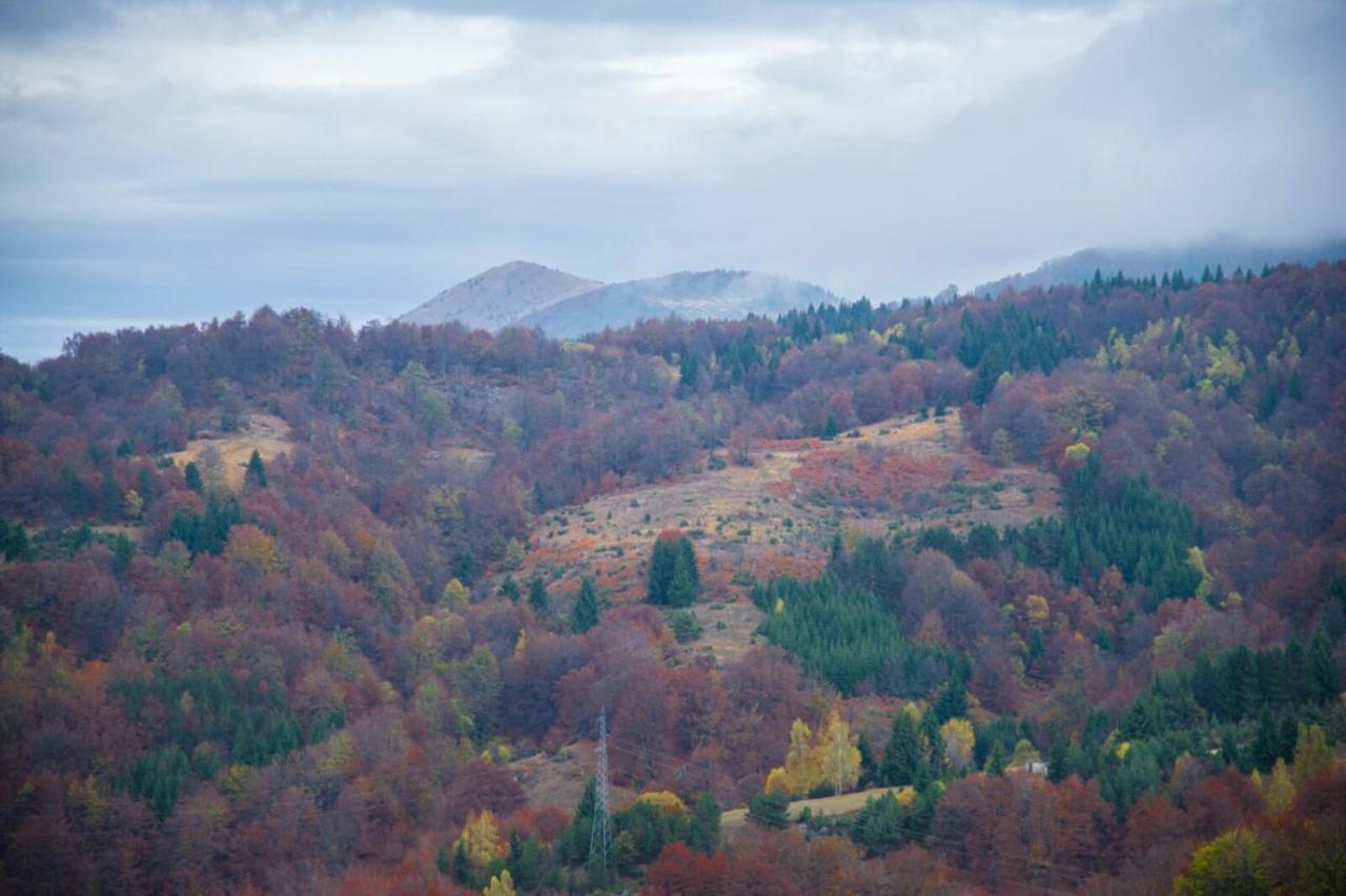 Kophill L36 Milmari Appartement Kopaonik Buitenkant foto